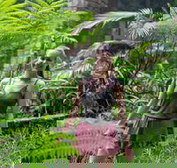 Full-Day Guided Hinterland Adventure Tour in Queensland - Accommodation Burleigh
