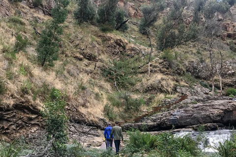 Grampians - Private Tour - Accommodation Burleigh 0