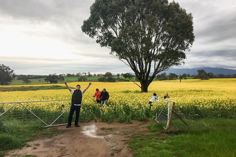 Grampians - Private Tour - Accommodation Burleigh 2