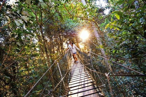 O'Reilly's & Lamington National Park From Brisbane - Accommodation Burleigh 5