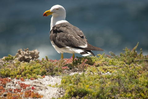 From The Mountains To The Bay - 4 Day Rediscovery Small Group Tour - Accommodation Burleigh 1