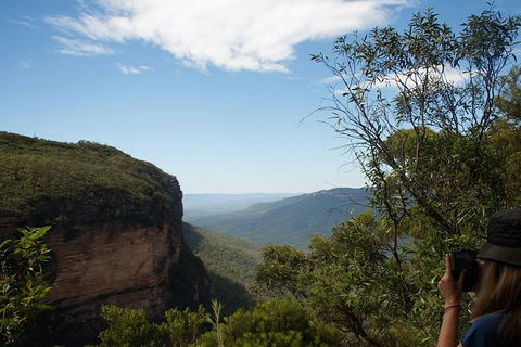 From The Mountains To The Bay - 4 Day Rediscovery Small Group Tour - Accommodation Burleigh 5