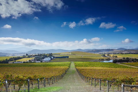Yarra Valley Wine And Wildlife Self-Driving Tour - Accommodation Burleigh 1