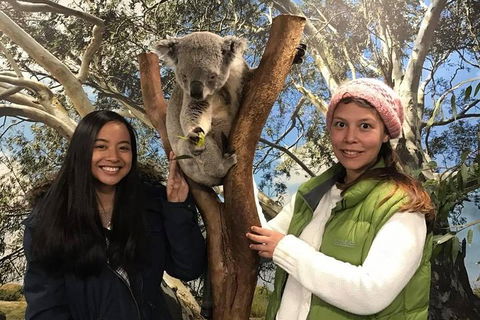 The Ultimate Sydney Attractions Pass - Accommodation Burleigh 1