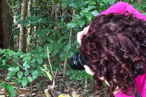Let's Go Buggin & Let's Go Shroomin - Photography & Nature Walking Tours - Accommodation Burleigh 1