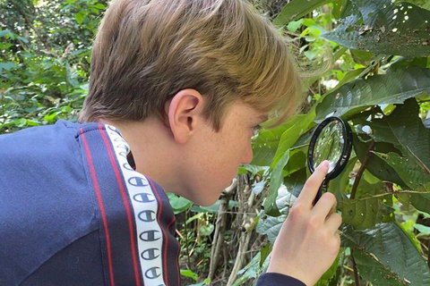 Let's Go Buggin & Let's Go Shroomin - Photography & Nature Walking Tours - Accommodation Burleigh 3