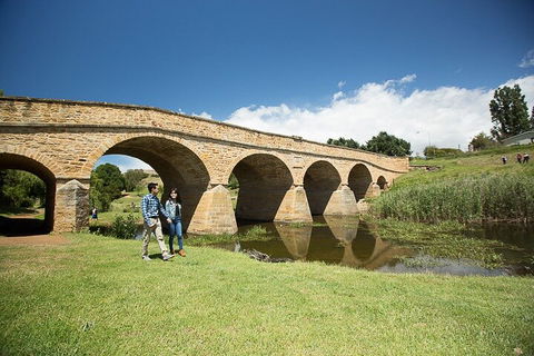 Bonorong Wildlife Park And Richmond Afternoon Tour From Hobart - Accommodation Burleigh 0