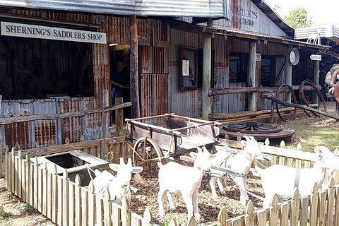 Full Day Atherton Tablelands Tour From Cairns - Accommodation Burleigh 4
