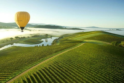 Half-Day Or Full-Day Tour With Private Guide From Melbourne - Accommodation Burleigh 4