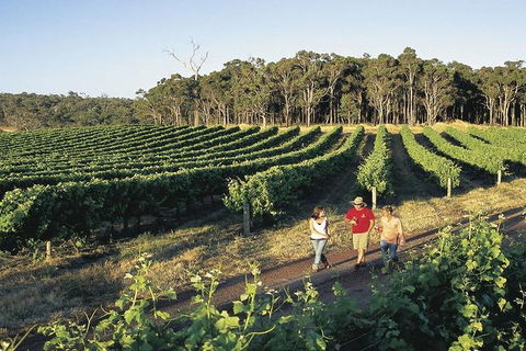 2-Day Margaret River Wine Experience From Perth - Accommodation Burleigh 3