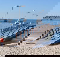 Monkey Mia Dolphins  Shark Bay Air Tour From Perth - Accommodation Burleigh
