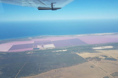 Monkey Mia Dolphins & Shark Bay Air Tour From Perth - Accommodation Burleigh 5