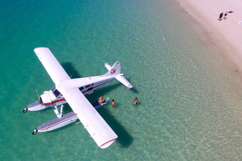 Panorama - Seaplane Tour - Accommodation Burleigh 1