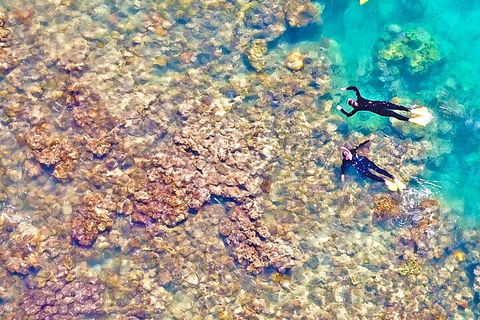 Panorama - Seaplane Tour - Accommodation Burleigh 3