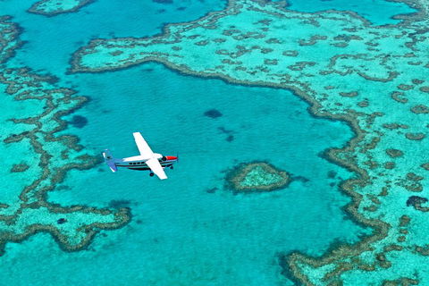 Fly & Sail Package (With Providence) - Accommodation Burleigh 4