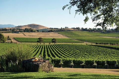 Yarra Valley 2-6 Guests Premium Food And Wine Inc Lunch At Dominique Portet - Accommodation Burleigh 2