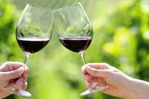 Yarra Valley Premium Tour Inc Lunch And Cheese And Wine Pairing At De Bortoli - Accommodation Burleigh 5