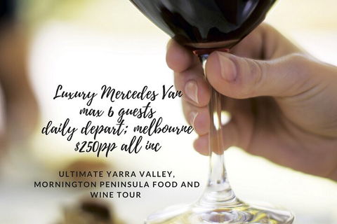 Yarra Valley Premium Tour Lunch And Sparkling Wine Tasting At Domaine Chandon - Accommodation Burleigh 5
