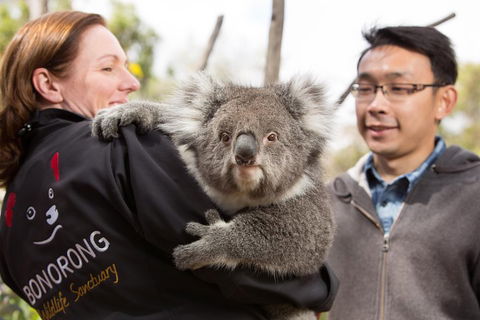 Bonorong Wildlife Park And Richmond Afternoon Tour From Hobart - Accommodation Burleigh 0