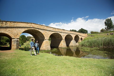 Bonorong Wildlife Park And Richmond Afternoon Tour From Hobart - Accommodation Burleigh 2