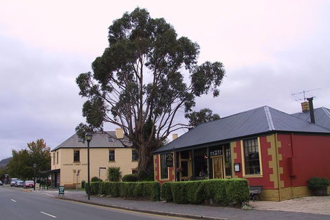 Bonorong Wildlife Park And Richmond Afternoon Tour From Hobart - Accommodation Burleigh 3