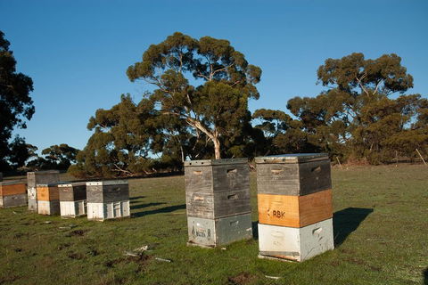 Fine Flavours - Full Day Kangaroo Island Food & Wine Tour - Accommodation Burleigh 1