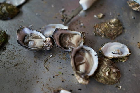 Fine Flavours - Full Day Kangaroo Island Food & Wine Tour - Accommodation Burleigh 2