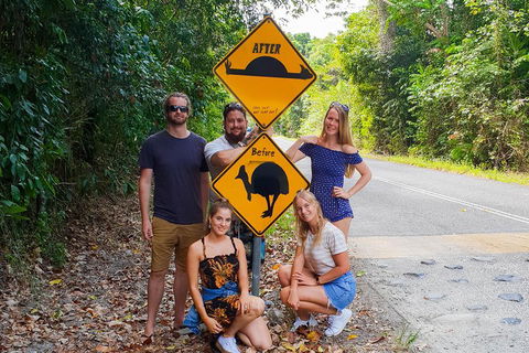 Cape Tribulation, Daintree Rainforest And Wildlife Tour - Accommodation Burleigh 0