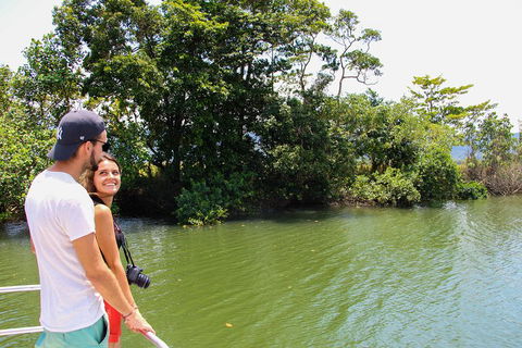 Cape Tribulation, Daintree Rainforest And Wildlife Tour - Accommodation Burleigh 2