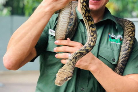 Virtual Interactive Australian Wildlife Tour With Private Guide-Wildlife Habitat - Accommodation Burleigh 1