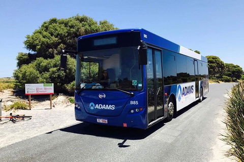 Rottnest Bayseeker Bus Tour From Hillarys Boat Harbour - Accommodation Burleigh 0