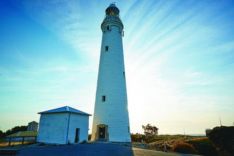 Rottnest Bayseeker Bus Tour From Hillarys Boat Harbour - Accommodation Burleigh 2