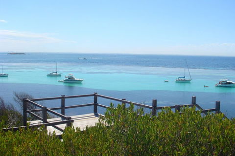 Rottnest Bayseeker Bus Tour From Hillarys Boat Harbour - Accommodation Burleigh 3