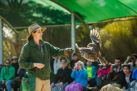 Full Day Kangaroo Island Sip And See Tour Departing From Kangaroo Island - Accommodation Burleigh 1