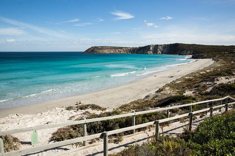 Full Day Kangaroo Island Sip And See Tour Departing From Kangaroo Island - Accommodation Burleigh 5