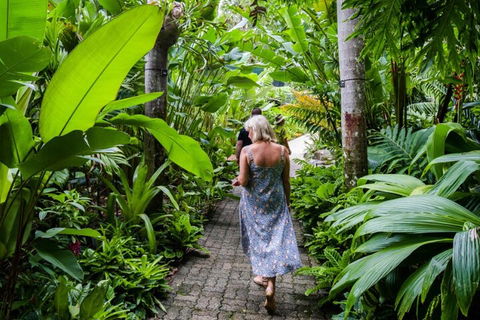 Cairns City Sights And Surrounds Tour - Accommodation Burleigh 2