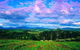 CHEVY CONVERTIBLE Package For 4 -Wine Lunch Cheese & Chocolate From Yarra Valley - thumb 4