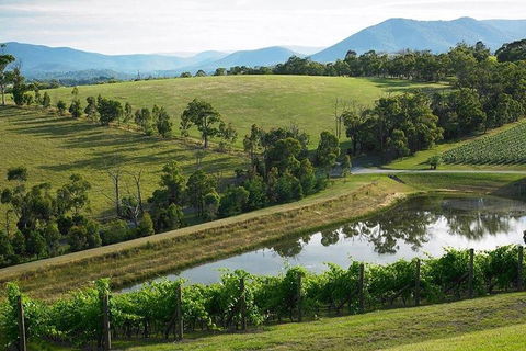 Yarra Valley Wine And Cider Tours By Classic Convertibles From Melbourne - Accommodation Burleigh 1