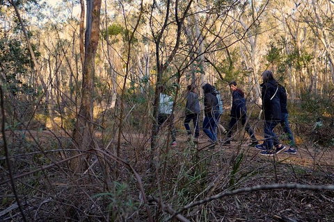 Wild Australian Wildlife 4WD Tour From Sydney - Accommodation Burleigh 0