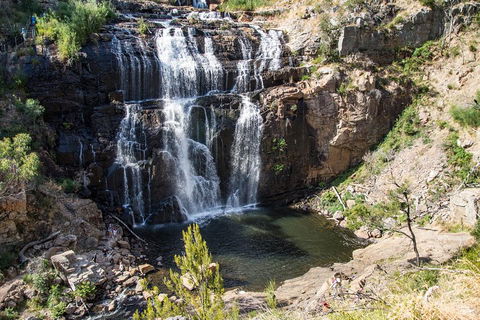 Grampians National Park With Kangaroos And MacKenzie Falls From Melbourne - Accommodation Burleigh 1