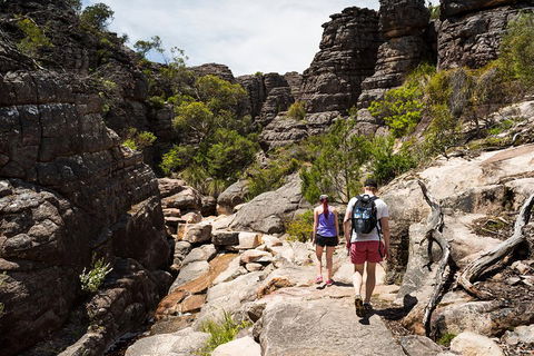 Grampians National Park With Kangaroos And MacKenzie Falls From Melbourne - Accommodation Burleigh 3