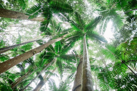 Fraser Explorer K'gari 2-Day Tour - Accommodation Burleigh 2