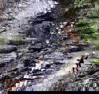 Full-Day Canyoning Experience at Stunning Empress Canyon - Accommodation Burleigh