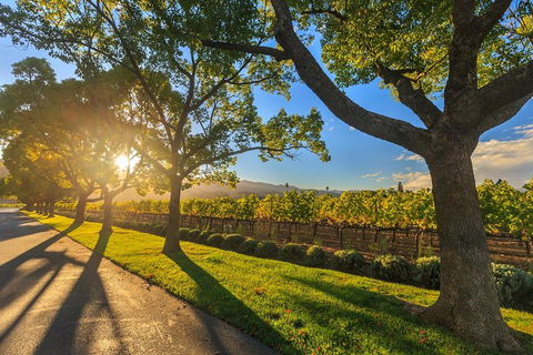 Very Best Of Perth Tour - Wildlife Park & City Highlights Tour - Accommodation Burleigh 2