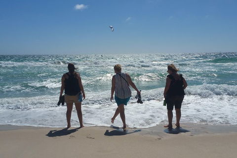 Very Best Of Perth Tour - Wildlife Park & City Highlights Tour - Accommodation Burleigh 5