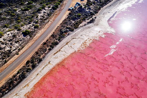 7-Day Exmouth Explorer Via Pinnacles Monkey Mia Ningaloo Reef Returning To Perth - Accommodation Burleigh 0