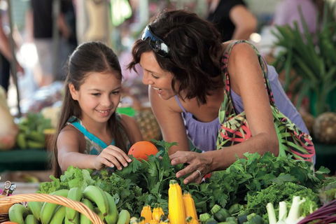 Sunshine Coast Eumundi Markets Return Minibus Transfer - Accommodation Burleigh 4