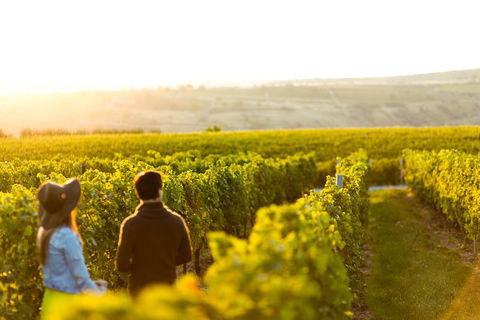Margaret River Private Tour - Accommodation Burleigh 2