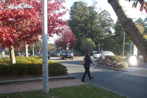 PRIVATE All-Day Blue Mountains Tour With Professional Guide For Up To 4 People - Accommodation Burleigh 1
