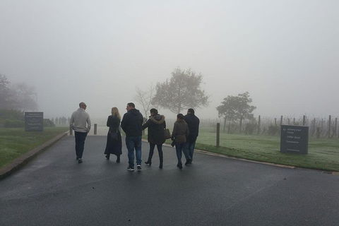 Chauffeur Driven Yarra Valley Group Wine Tour - Up To 7 - Accommodation Burleigh 4